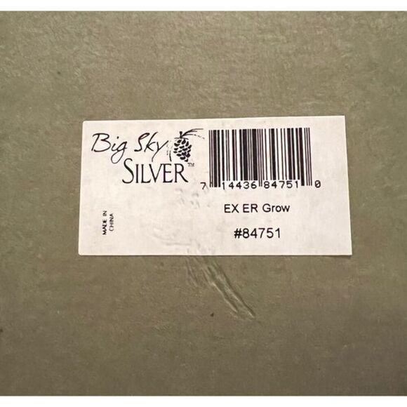 ☑️ Big Sky Silver Earrings - New in Box - Drop Style - 2 Inches - Picture 8 of 9